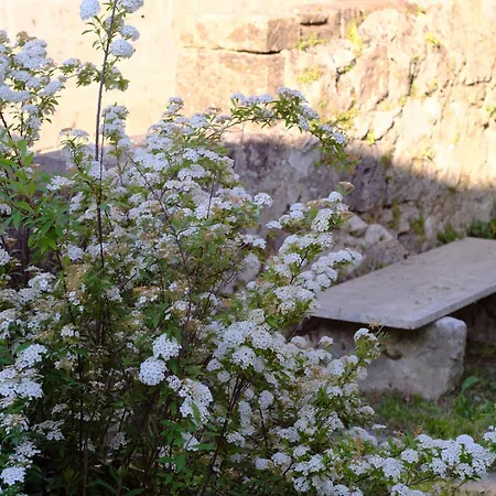 Conte Spencer 4* カゼルタ・ヴェッキア