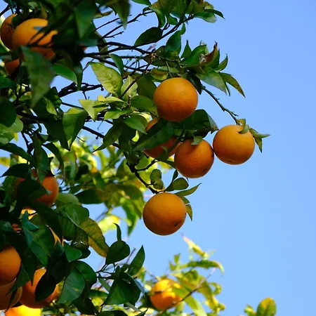 Conte Spencer ベッド・アンド・ブレックファスト 4*