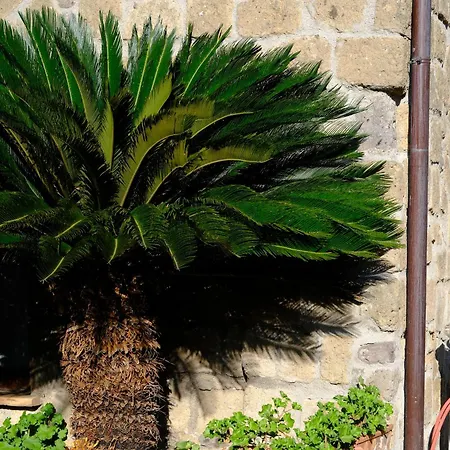 ベッド・アンド・ブレックファスト Conte Spencer カゼルタ・ヴェッキア