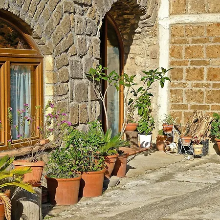 Conte Spencer カゼルタ・ヴェッキア