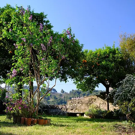 Conte Spencer ベッド・アンド・ブレックファスト 4*