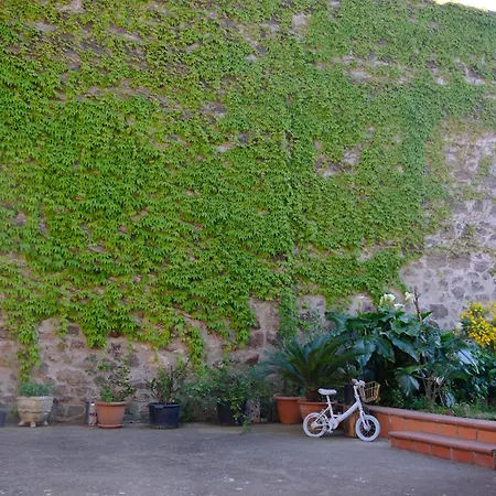 Conte Spencer 4* カゼルタ・ヴェッキア